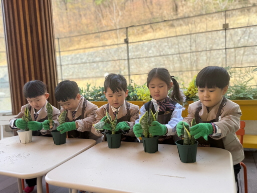 공기정화 식물, 슈퍼바를 심었어요~